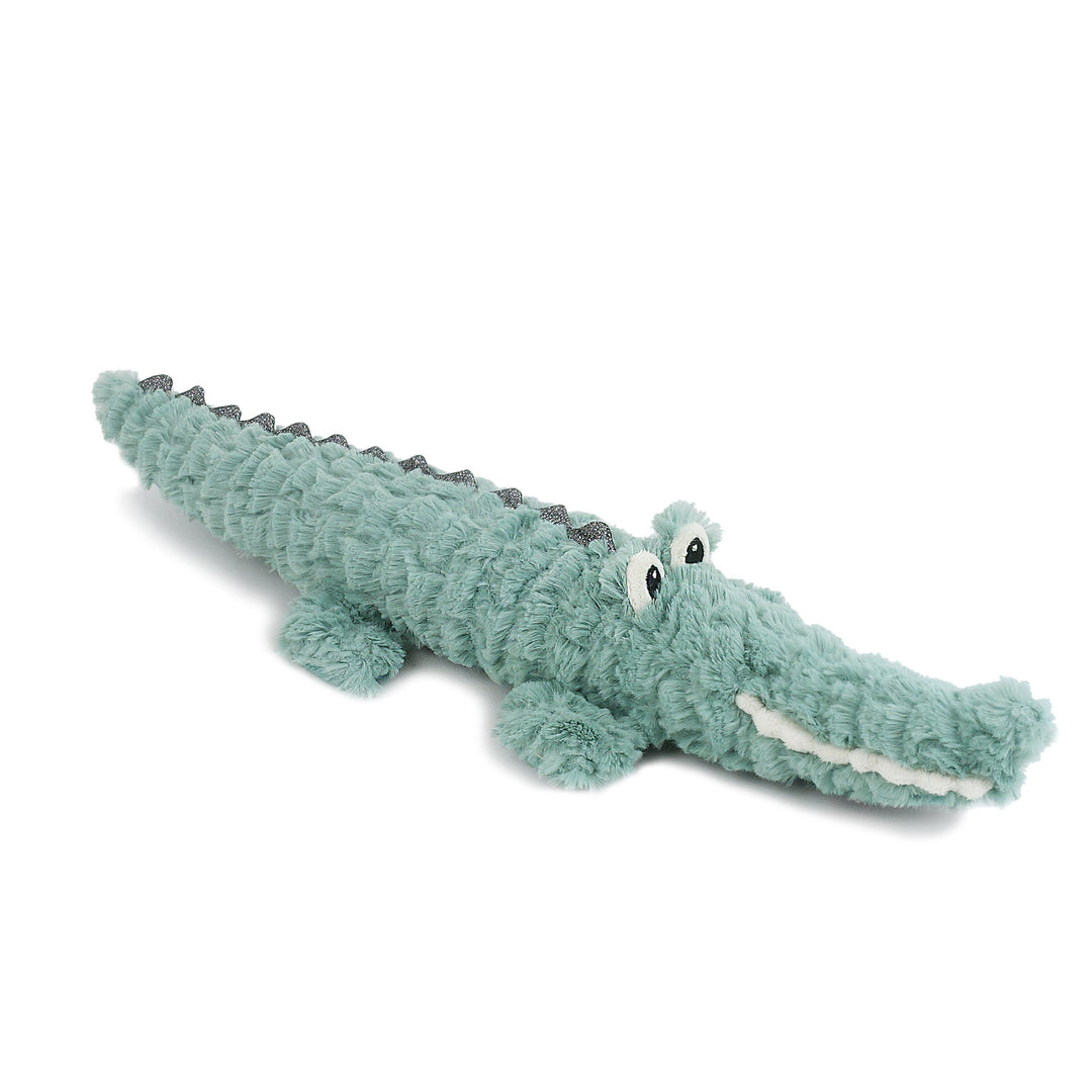 Alligator