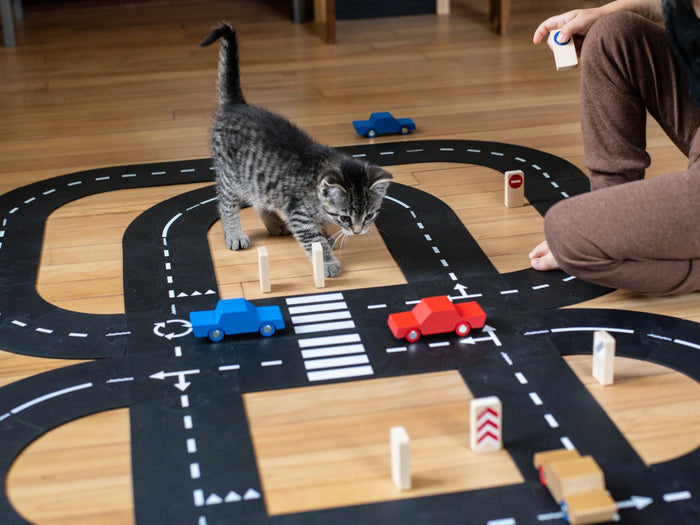 Waytoplay King of the Road, Extra Large Set, Car Edition