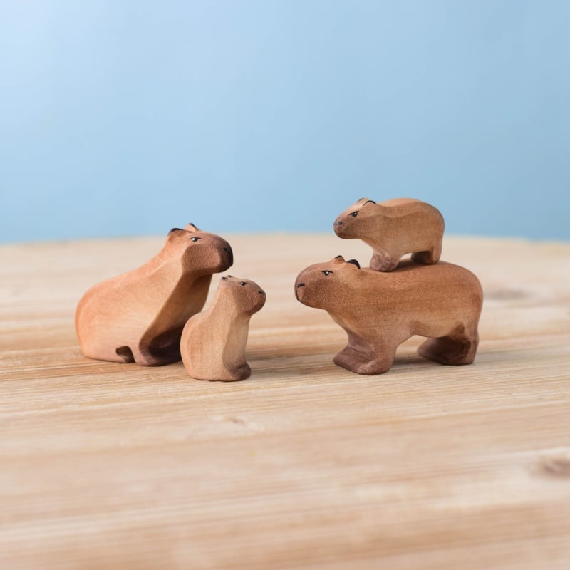 Bumbu Capybara Family Set