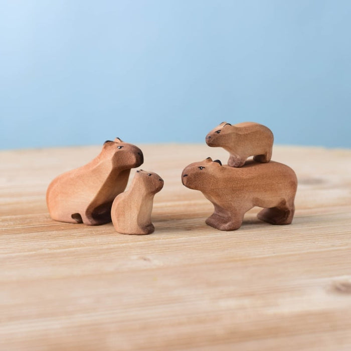 Bumbu Capybara Family Set