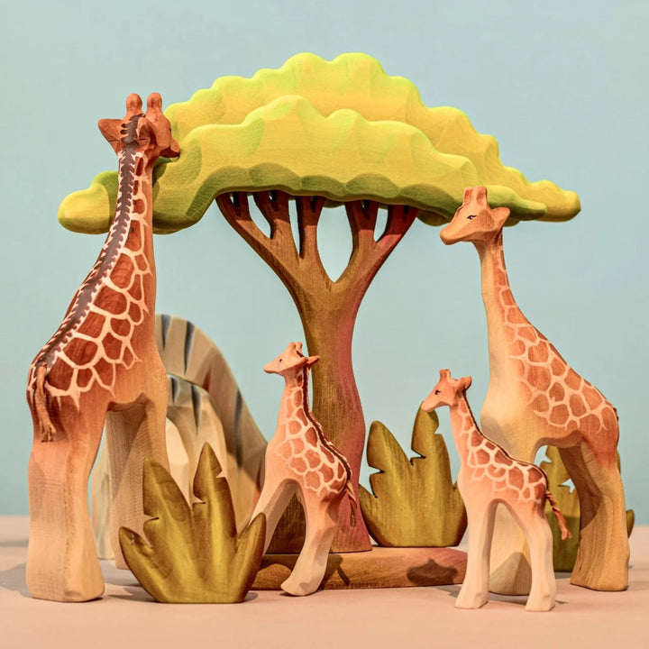 Bumbu Large Acacia Tree
