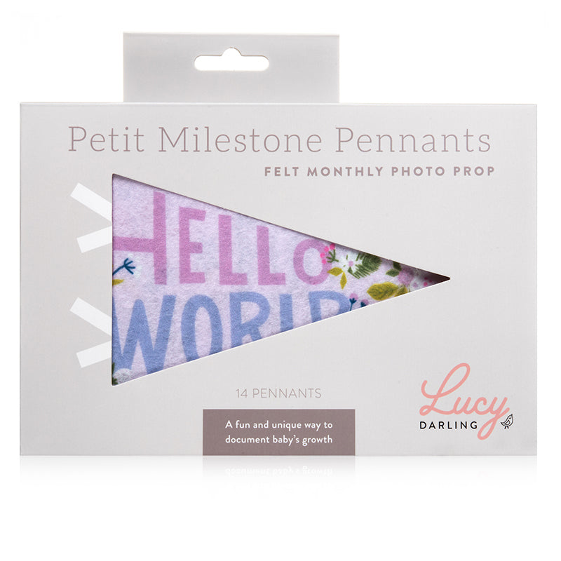 Lucy Darling Little Artist Petit Milestone Pennants