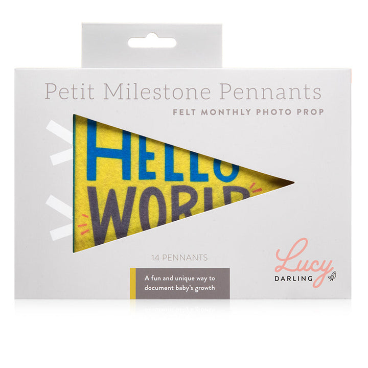 Lucy Darling Little Kaleidoscope Petit Milestone Pennants
