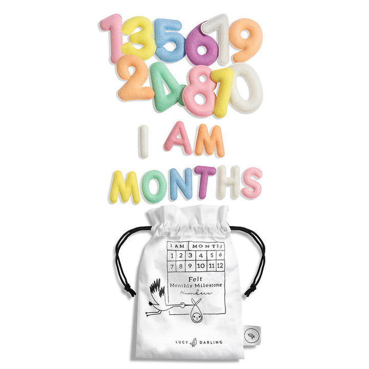 Lucy Darling Milestone Felt Numbers in Pastel