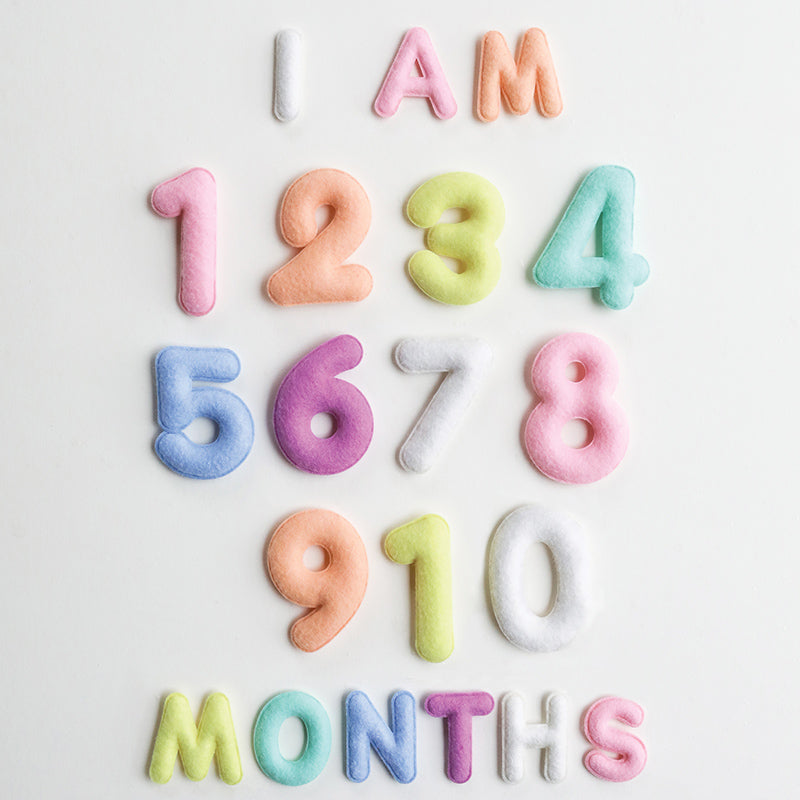 Lucy Darling Milestone Felt Numbers in Pastel
