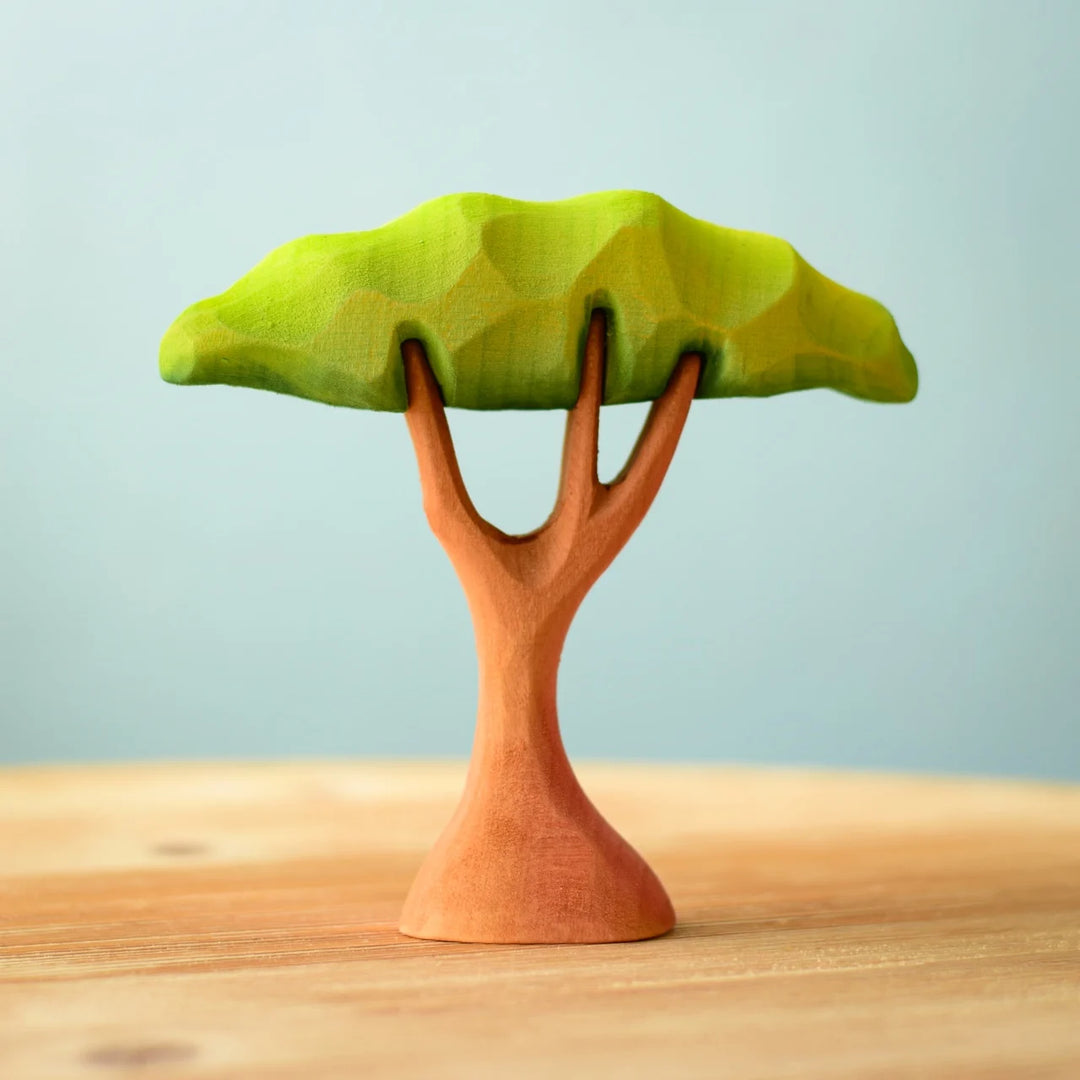Bumbu Small Acacia Tree