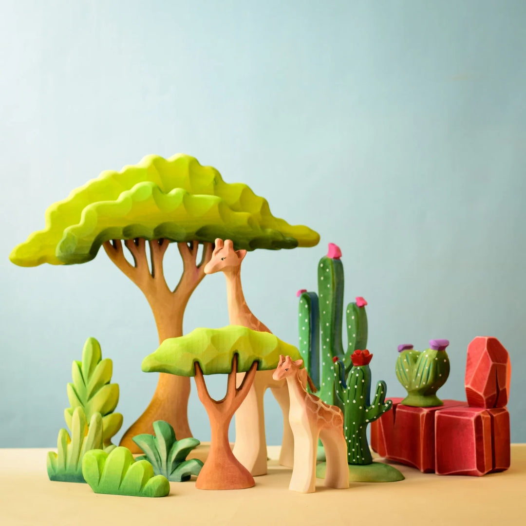 Bumbu Small Acacia Tree