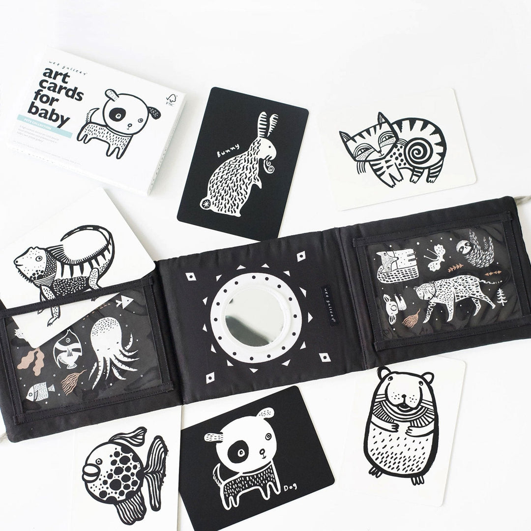 Baby Tummy Time Gallery with Mirror Bundle