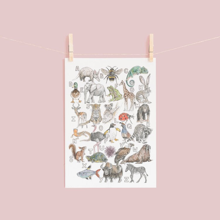Animal Alphabet Print
