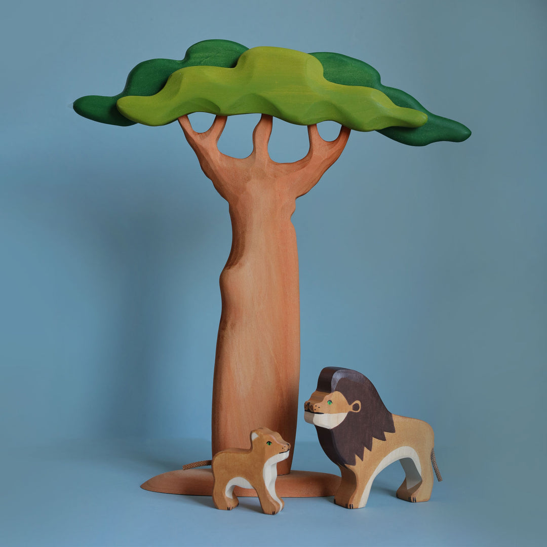 Bumbu Baobab Tree, Tall
