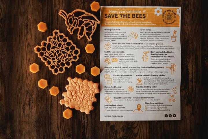 Teddy Bear Bee &amp; Honey Comb Eco Cutter Set
