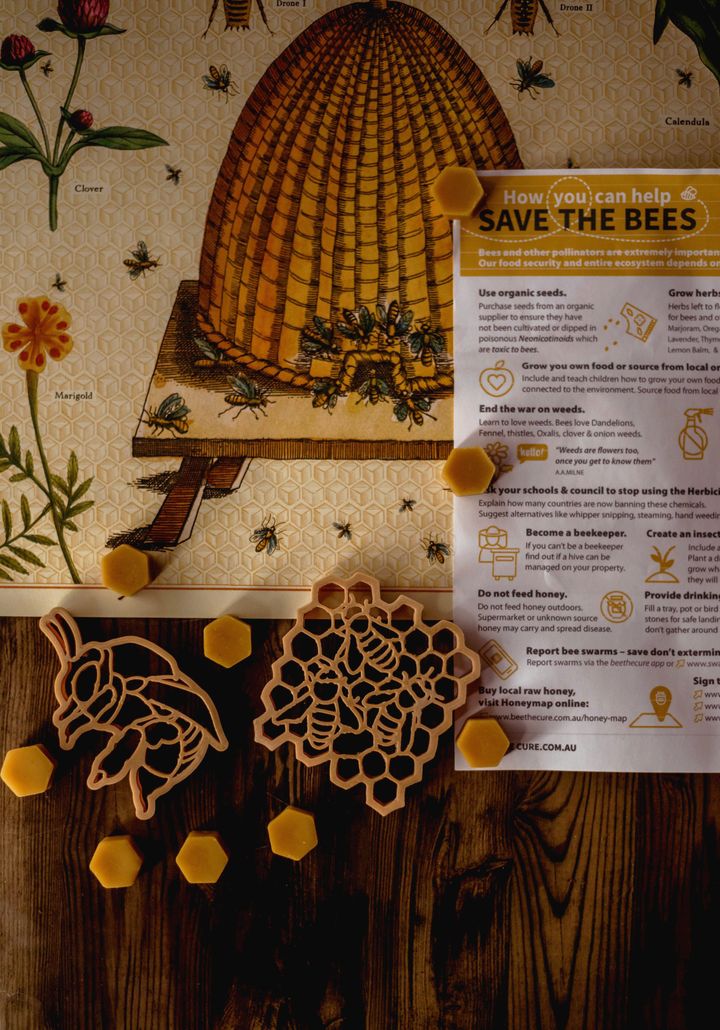 Teddy Bear Bee &amp; Honey Comb Eco Cutter Set