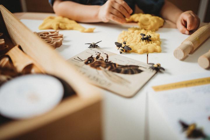 Teddy Bear Bee &amp; Honey Comb Eco Cutter Set