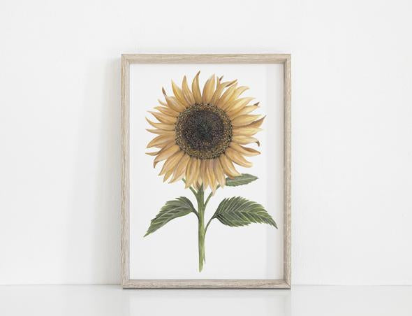 Floral &amp; Fern Sunflower Print