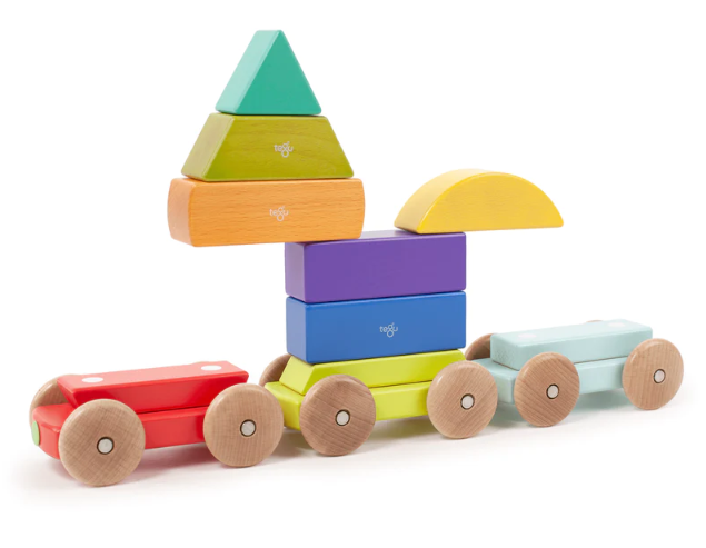 Tegu Magnetic Shape Train, Rainbow