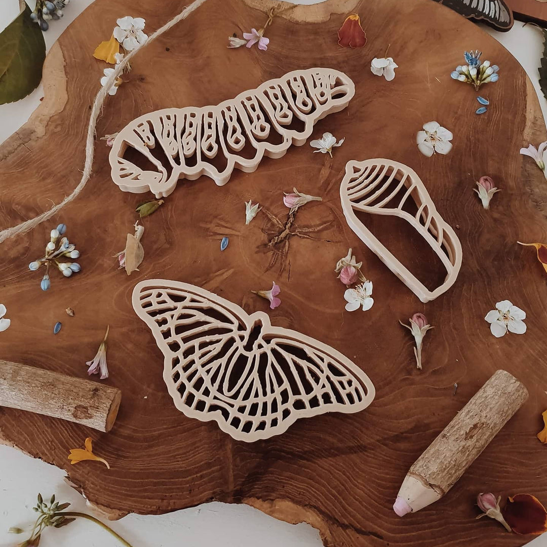 Monarch Butterfly Life Cycle Eco Cutter Set