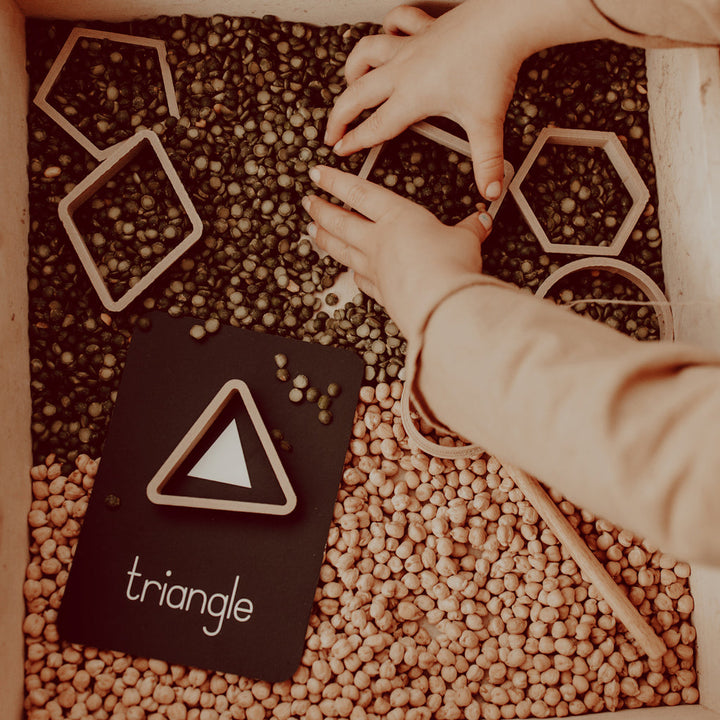 Shapes Eco Cutter Set