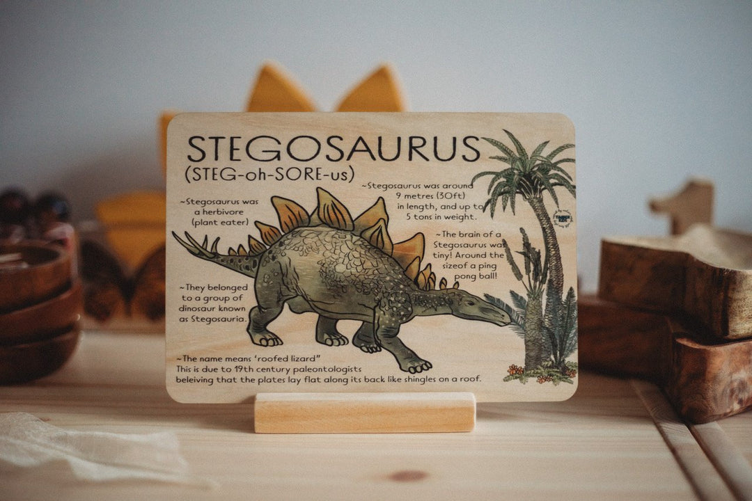 Stegosaurus Dino Fact Tile