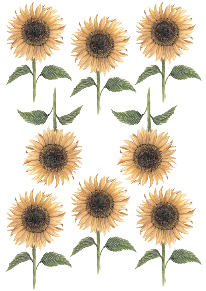 Floral &amp; Fern Sunflower Wall Decals